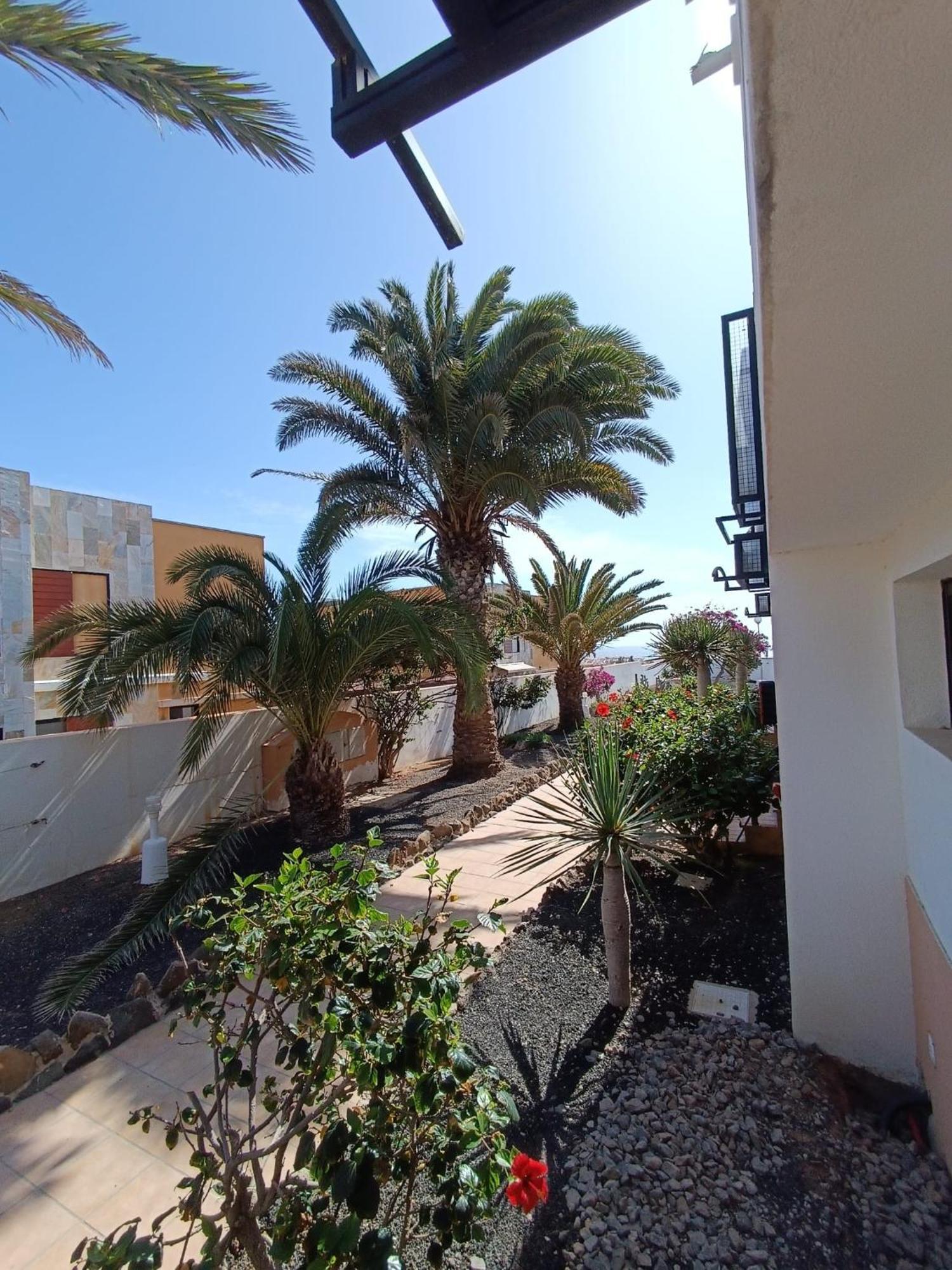 Apartamento Reload Complex Amaya Fuerteventura Costa De Antigua Exterior photo